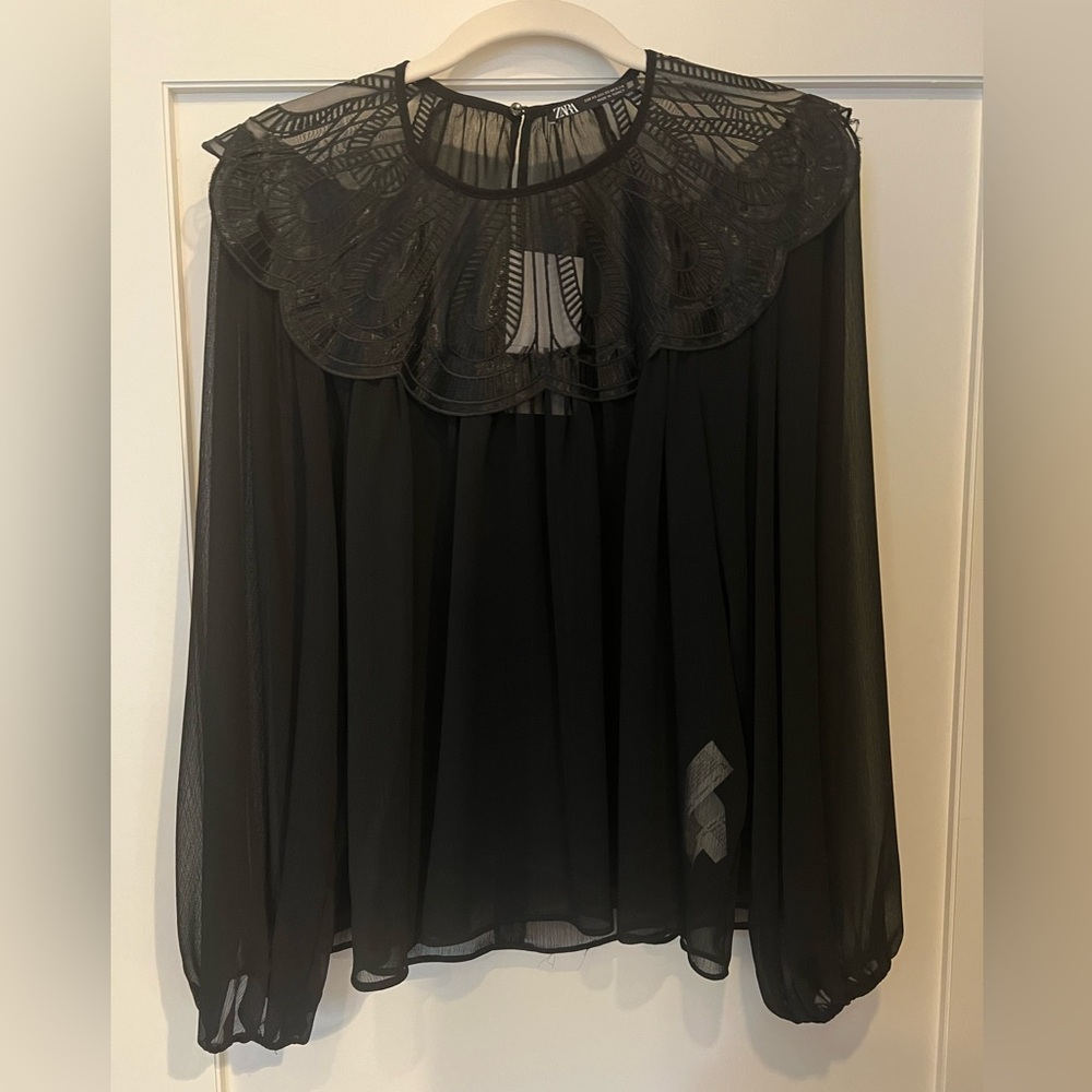 Zara Long-sleeve Sheer Black Top
